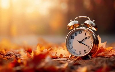 Spring Success Starts with Autumn Planning